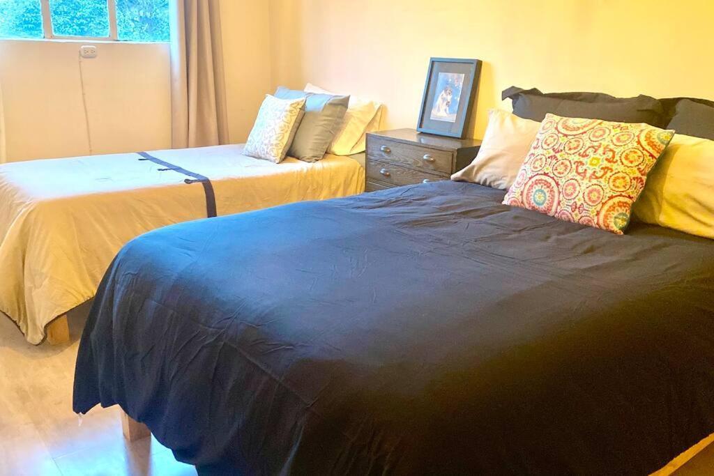 Amazing Cozy Apartment In Condesa เม็กซิโกซิตี้ ภายนอก รูปภาพ