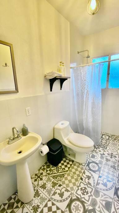 Amazing Cozy Apartment In Condesa เม็กซิโกซิตี้ ภายนอก รูปภาพ